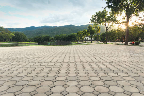 Professional Driveway Pavers in Mount Vernon, MD